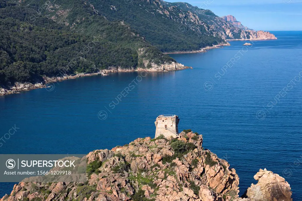 France, Corsica, Corse-du-Sud Department, Calanche Region, Porto, elevated view of the Genoese tower, morning