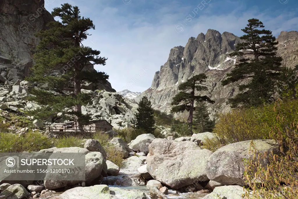 France, Corsica, Haute-Corse Department, Central Mountains Region, Corte-area, Gorges de la Restonica, mountain landscape