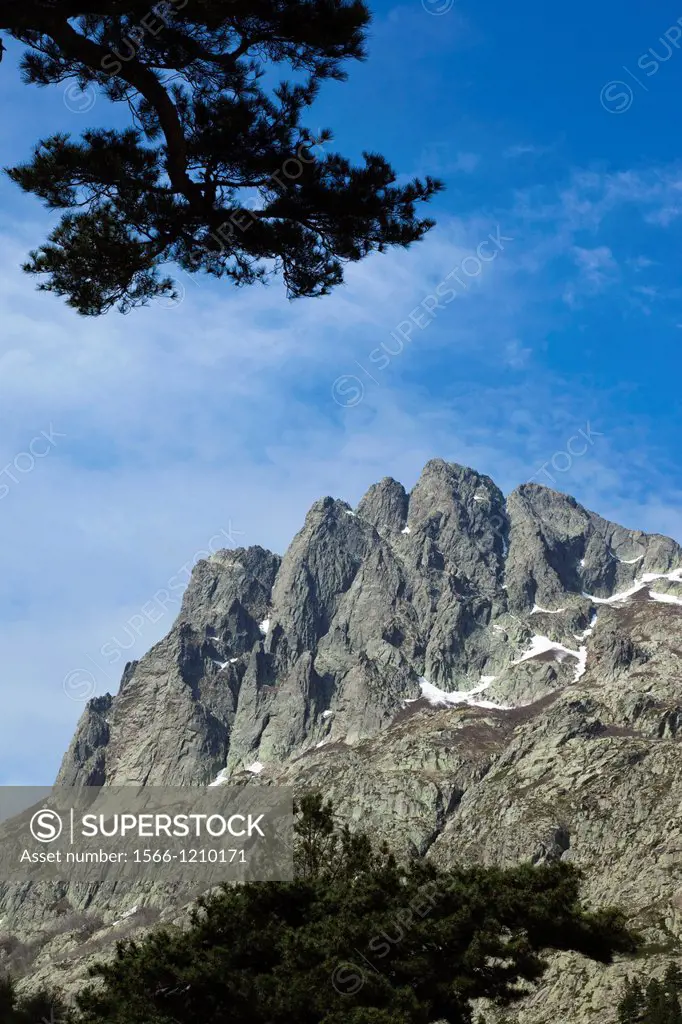 France, Corsica, Haute-Corse Department, Central Mountains Region, Corte-area, Gorges de la Restonica, mountain landscape