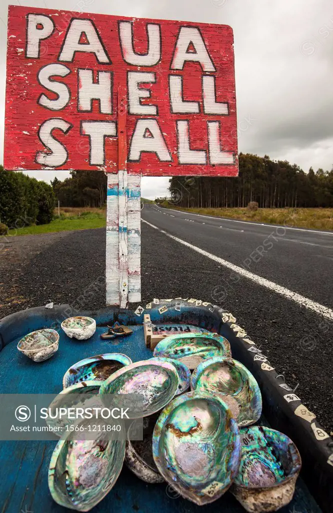 Paua shell stall beside road, Otago Peninsula