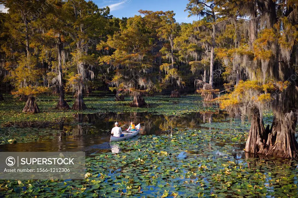 People in a Canoe, Cypress Swamp, Caddo Lake, Texas and Louisiana, USA