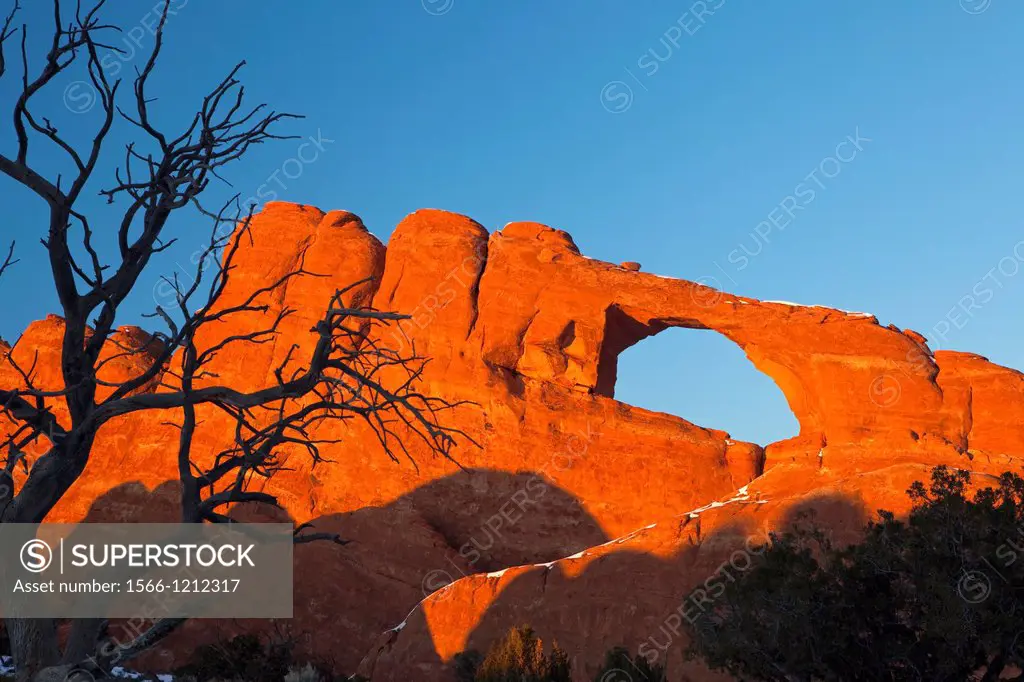Sunset at Skyline Arch with Dead Tree, Arches National Park, USA