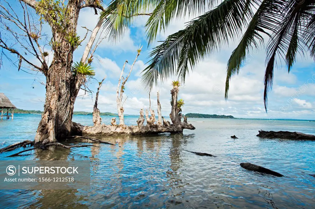 Carenero island, Bocas del Toro province, Caribbean sea, Panama.
