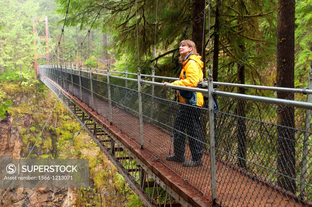 Hiker suspension bridge on Drift Creek Falls Trail, Siuslaw National Forest, Oregon