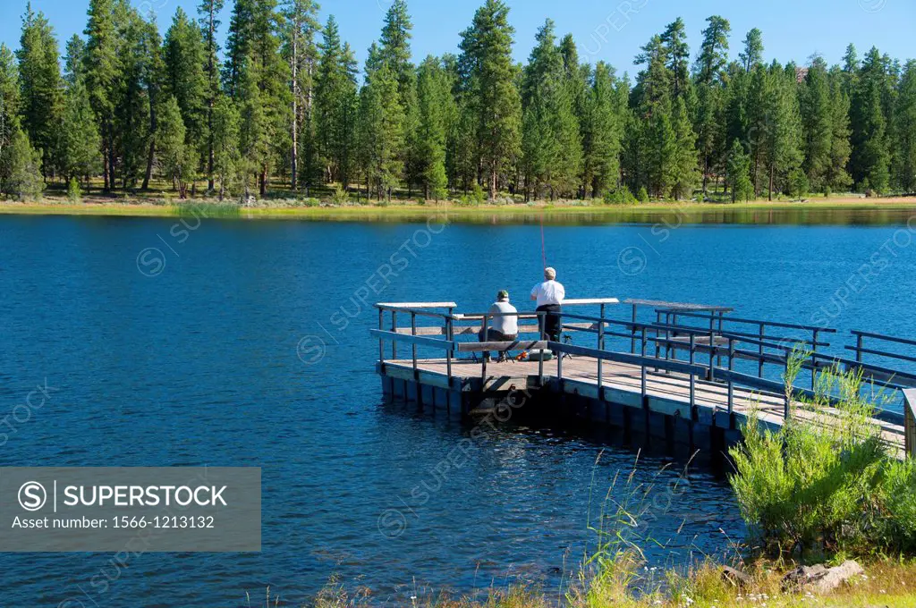 Fishing dock on Delintment Lake, Ochoco National Forest, Oregon