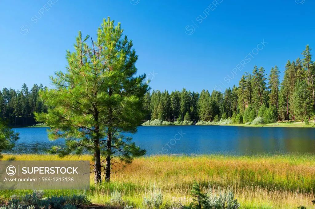 Delintment Lake, Ochoco National Forest, Oregon