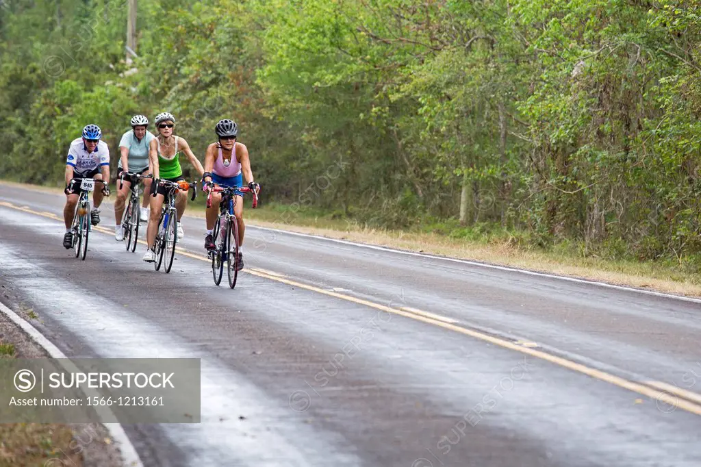 Crown Point, Louisiana - Bicycle riders in the rain on a road in Barataria Preserve, a part of Jean Lafitte National Historical Park and Preserve  Bar...