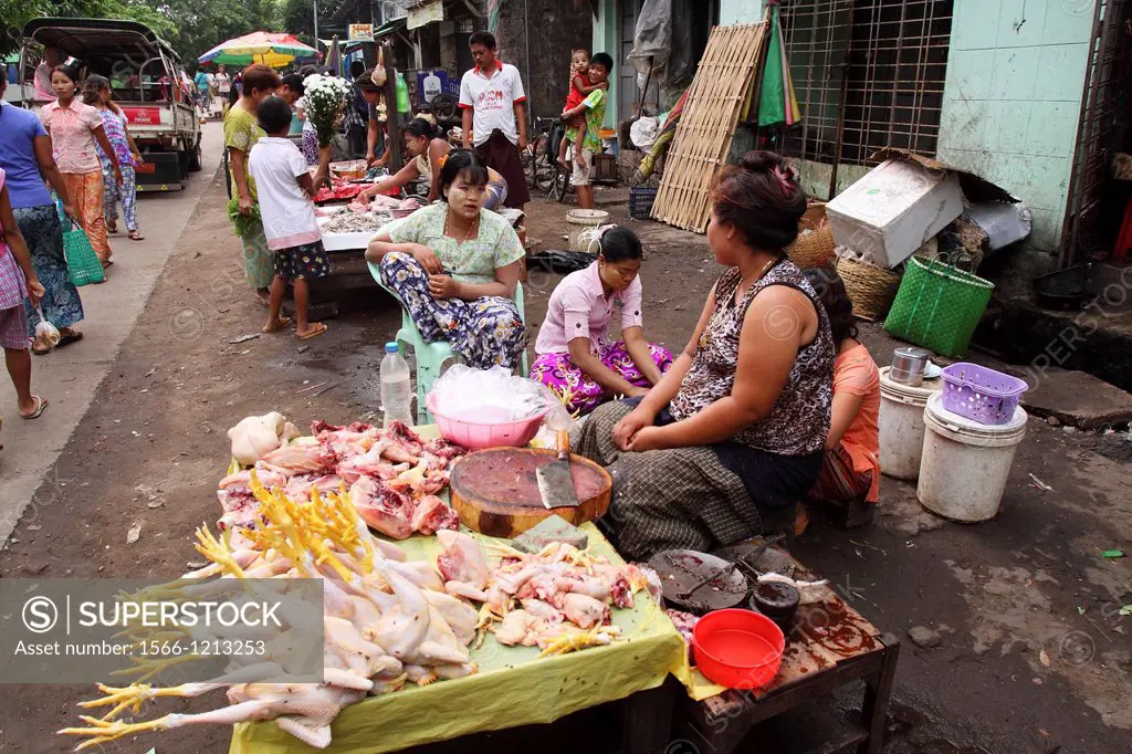 Burma women Selling chicken at Local Market, yangon, myanmar