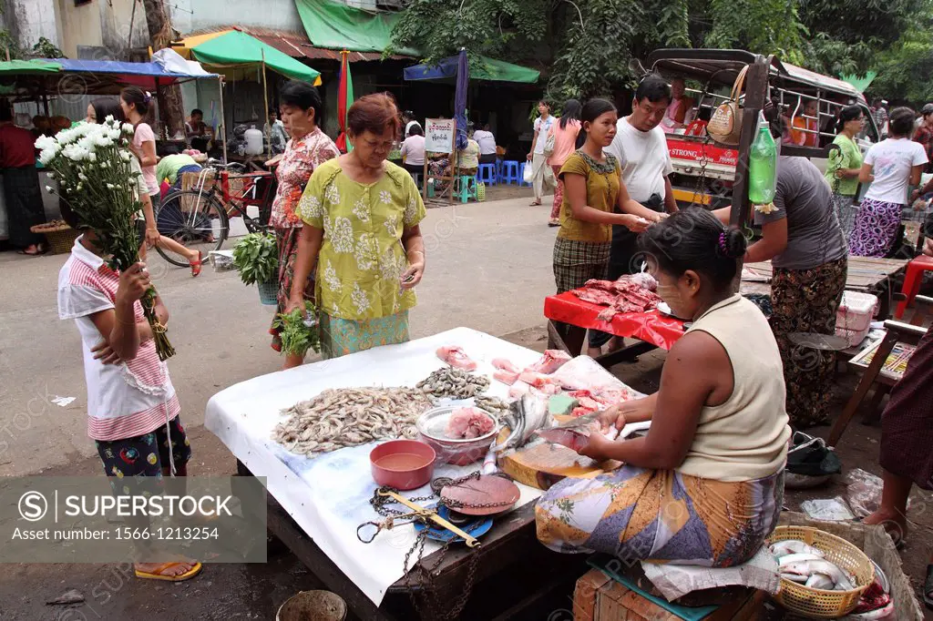 Burma women Selling Fish at Local Market, yangon, myanmar