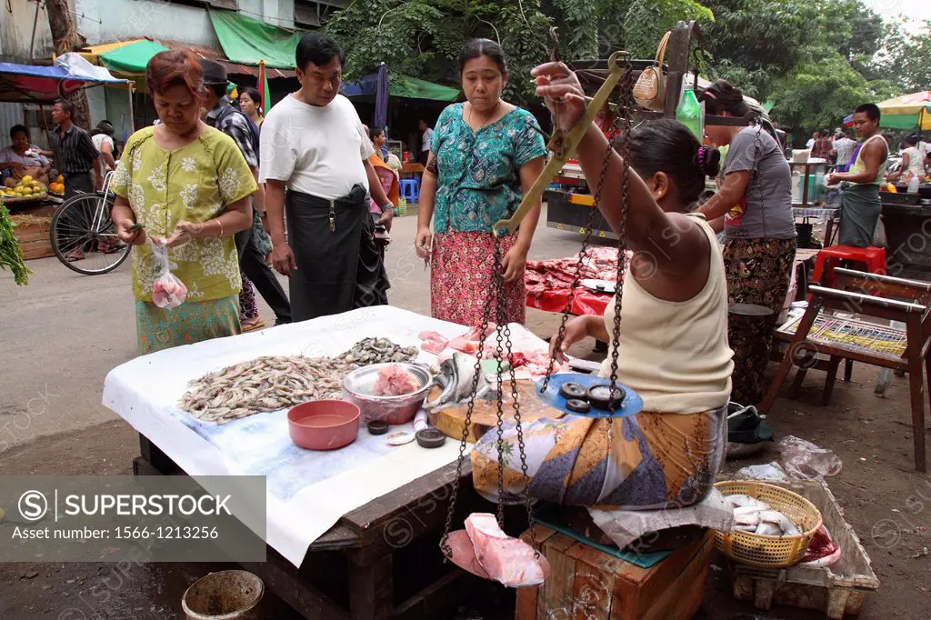Burma women Selling Fish at Local Market, yangon, myanmar