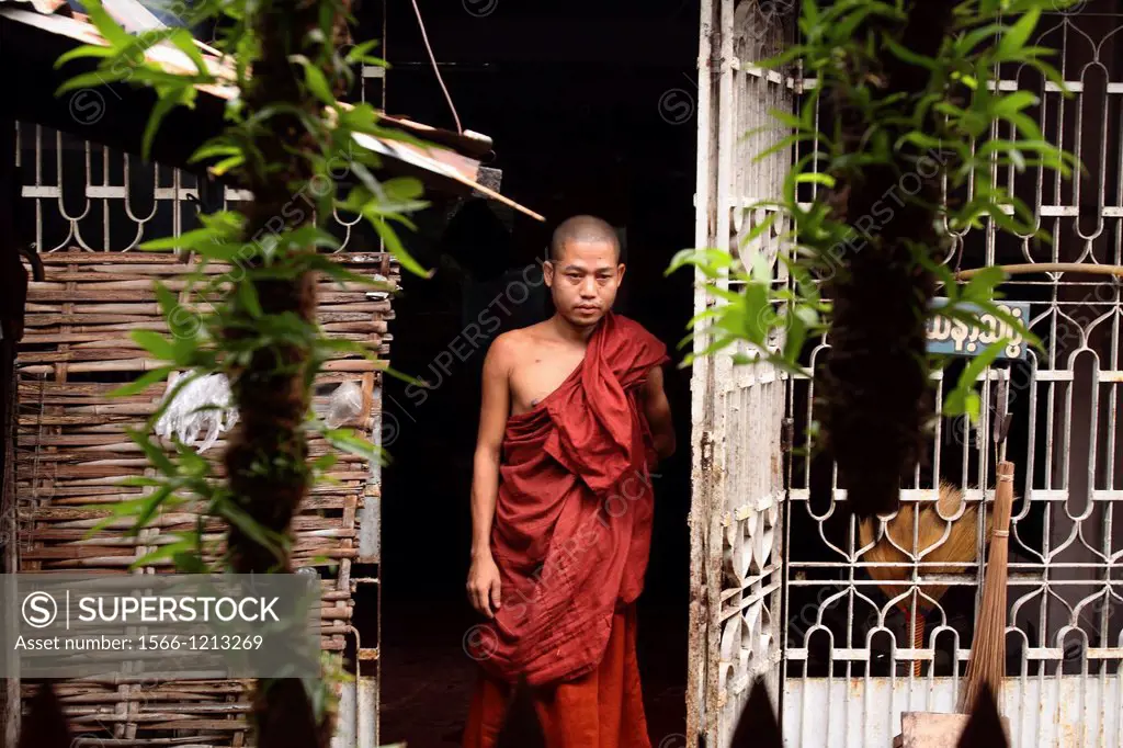 Portrait of a burman novice, Myanmar, Burma, Asia