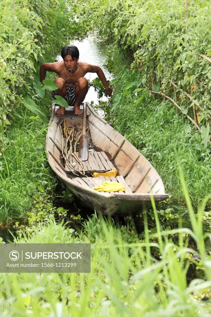 Floating gardens, Inle Lake, Shan states, Burma