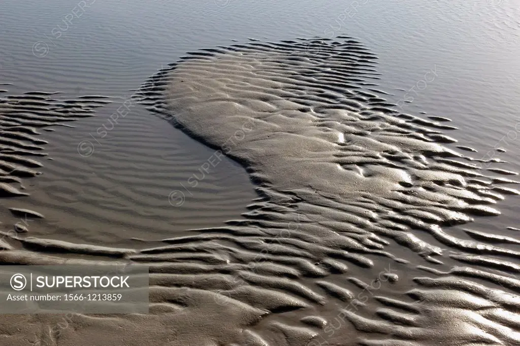 Tidal Pool is a pool of ocean water left from out going tide on Crescent Beach, FL, USA