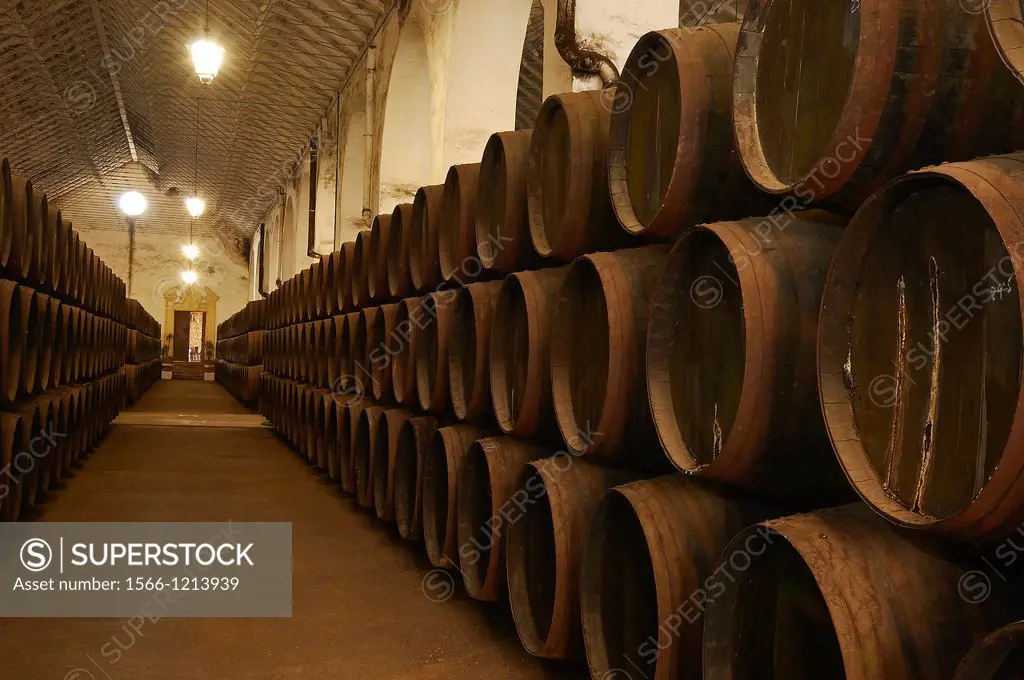 Montilla, Perez Barquero Wine Cellar, Montilla-Moriles Wine Route, Cordoba, Andalusia, Spain.