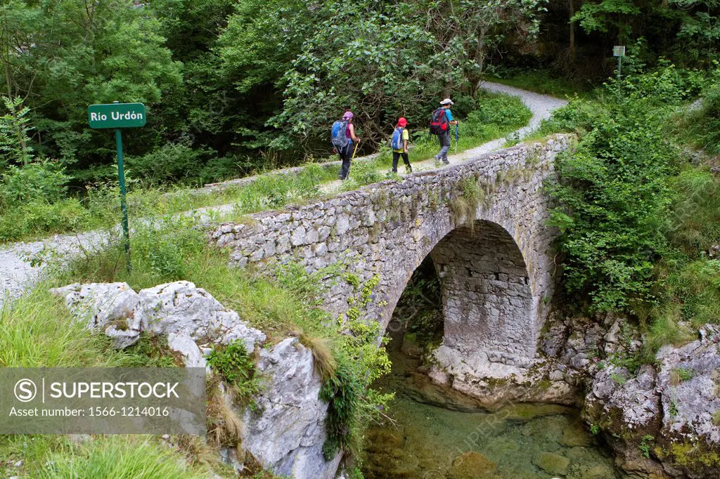 Hikers walking down from Tresviso, a small village in Picos de Europa National Park by historic Urdón path to La Hermida Gorges  Peñarrubia  Cantabria...