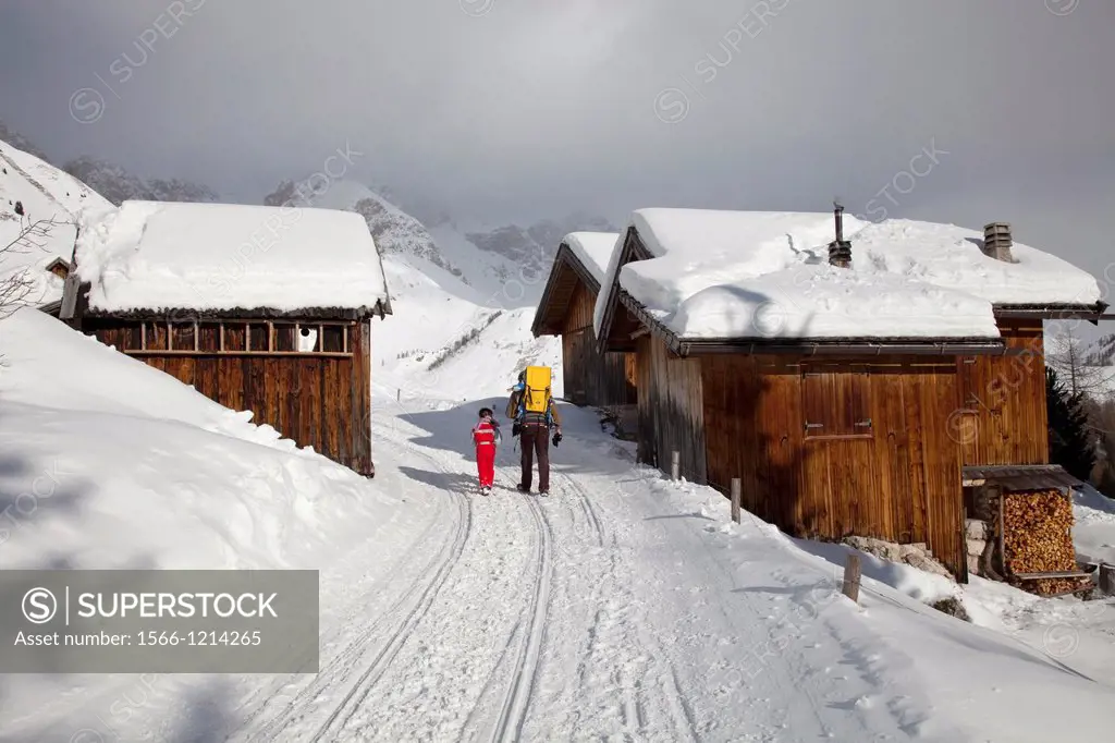 Snow trail alongside wooden barns, near Fuciade hut, San Pellegrino pass, Trentino Alto Adige, Italy, Europe