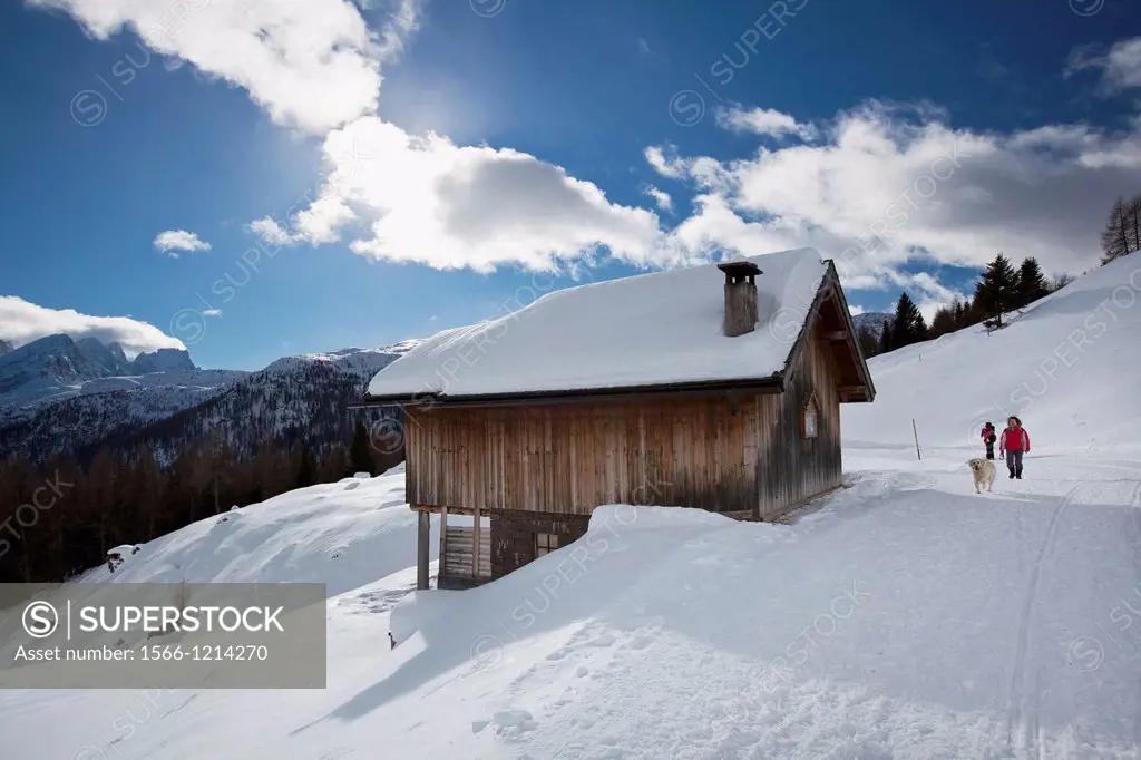 Snow trail alongside wooden barns, near Fuciade hut, San Pellegrino pass, Trentino Alto Adige, Italy, Europe
