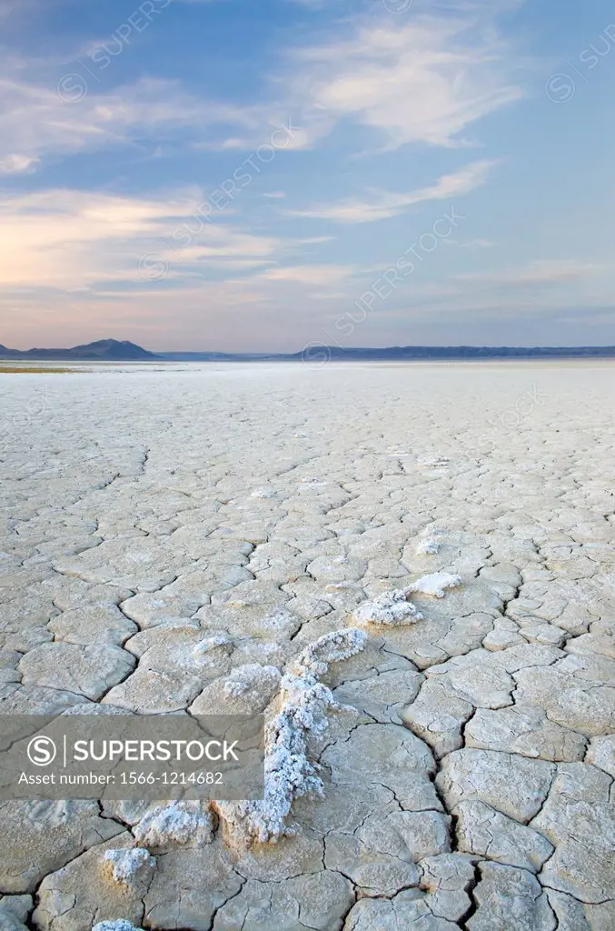 Cracked mud and mineral desposits on dry lakebed, Alvord Desert Oregon