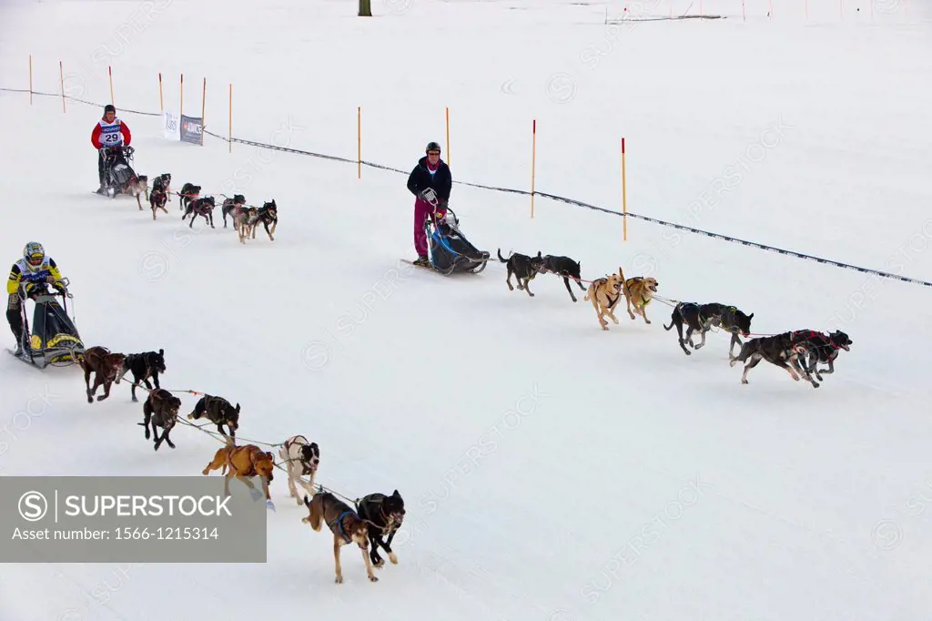 Pirena Advance is a 15 days long sleddog race across the Pyrenees (Spain-France-Andorra). Scoring for the world sleddog championship, it is one of the...