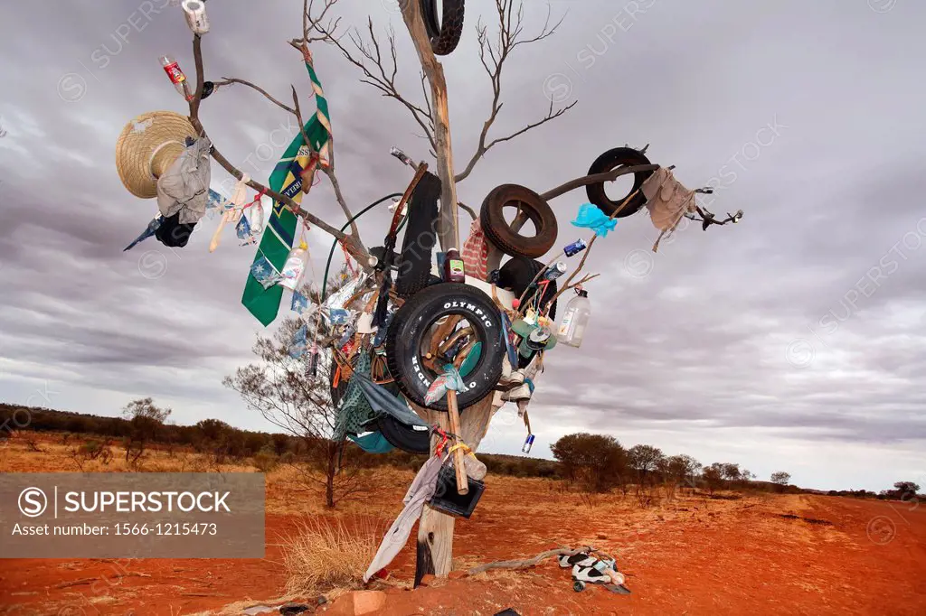 Junk tree on the Mereenie Loop, Central Australia