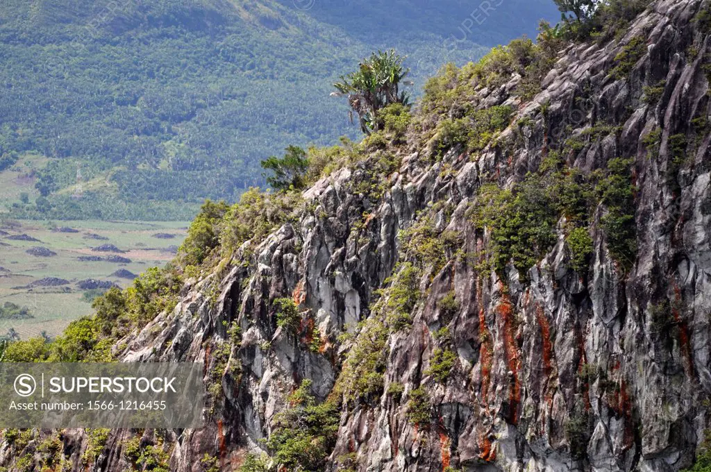Mauritius, rock face at the Domaine de LEtoile natural reserve