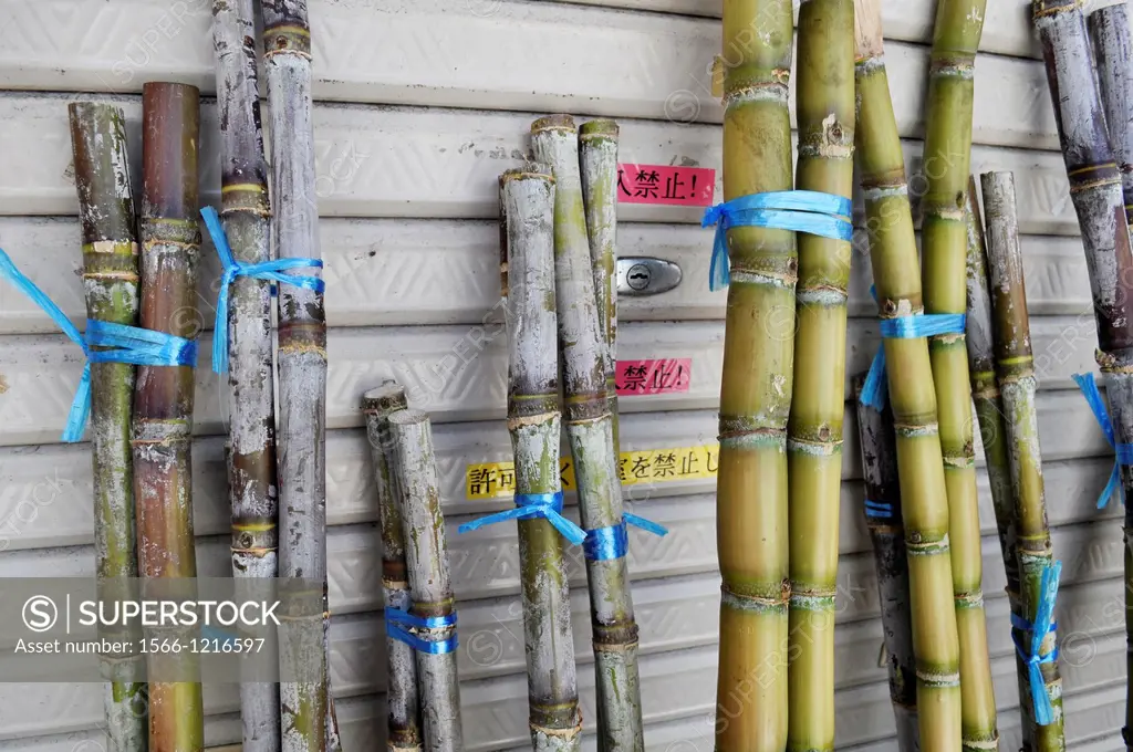 Naha, Okinawa, Japan, sugarcane sold during Obon, Makishi      