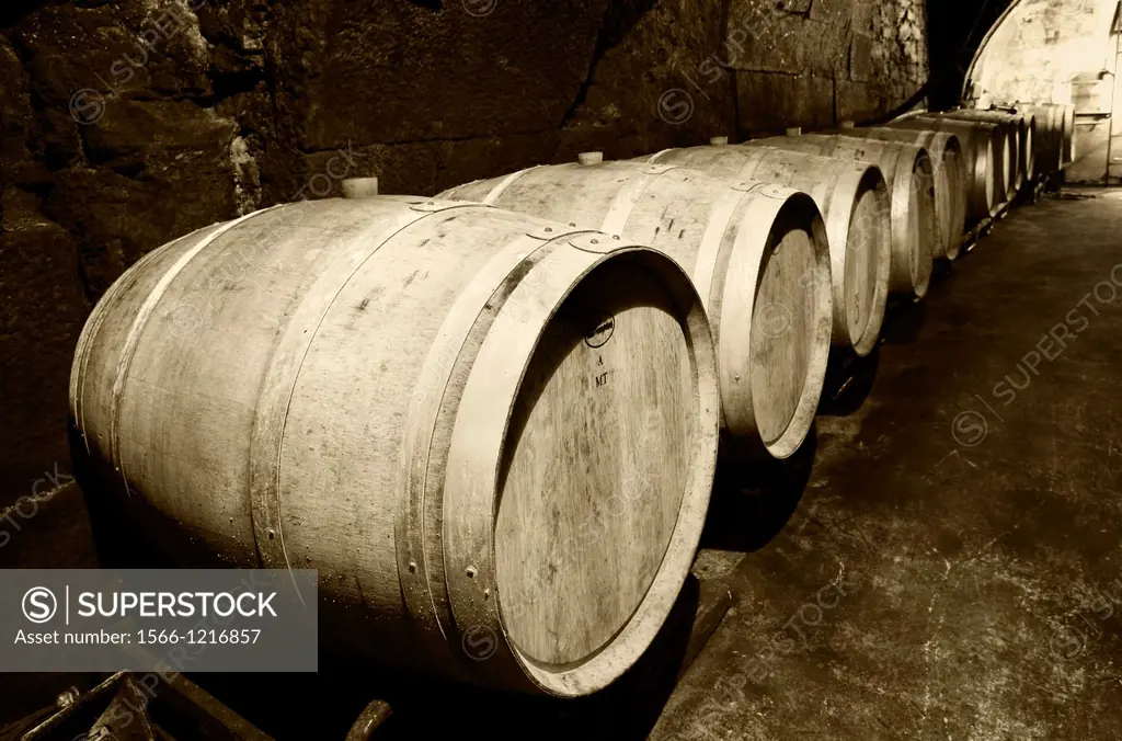 Casks resting in a cellar  Lanciego  Rioja alavesa wine route  Alava  Basque country  Spain