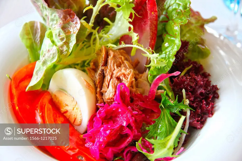 Salad with tuna fish, lettuces, boiled egg and tomatoes