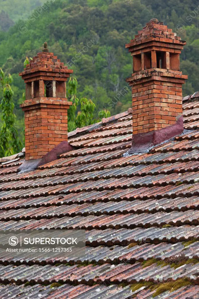 France, Corsica, Haute-Corse Department, Central Mountains Region, Le Bozio Area, Bustanico, roof detail