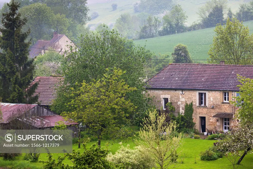 France, Normandy Region, Orne Department, Mortagne au Perche, farmhouse landscape in early summer