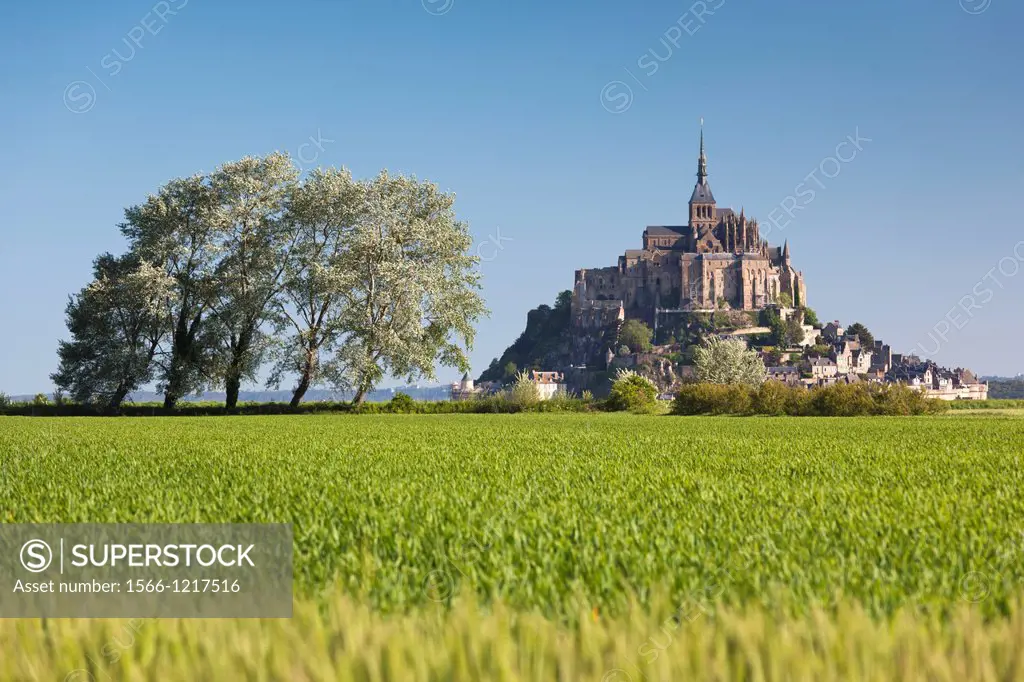 France, Normandy Region, Manche Department, Mont St-Michel, morning
