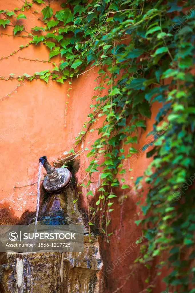 decorative fountain detail with wall water pipe on orange and green ivy in the foreground, Barrio Santa Cruz, Sevilla, Andalucia, Spain