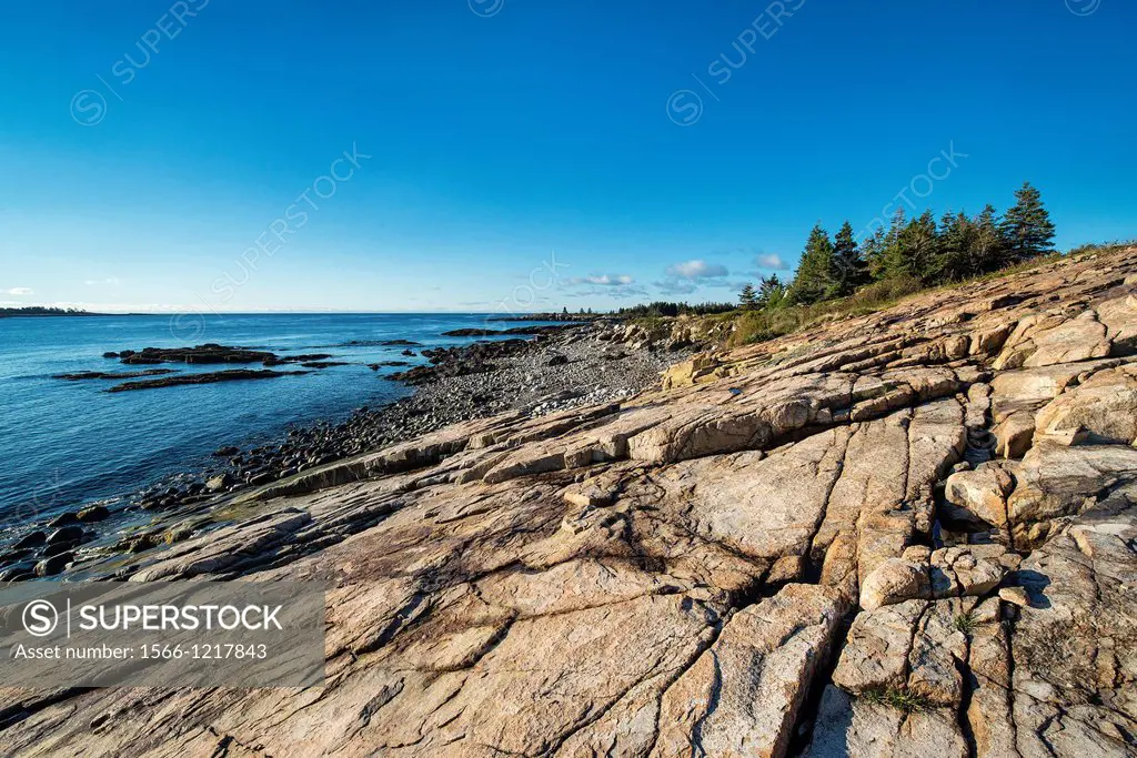 Coastal landscape, Schoodic Peninsula, Acadia National Park, Maine, USA