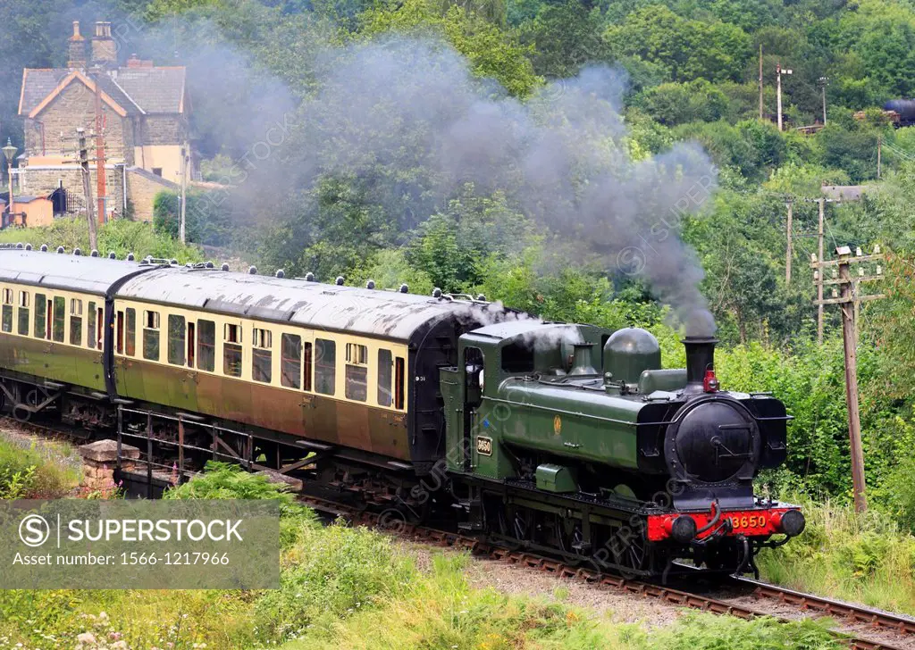 GWR 0-6-0 Pannier Tank No 3650 steams out of Highley Station and heads South towards Upper Arley, Severn Valley Railway, Shropshire, England, Europe