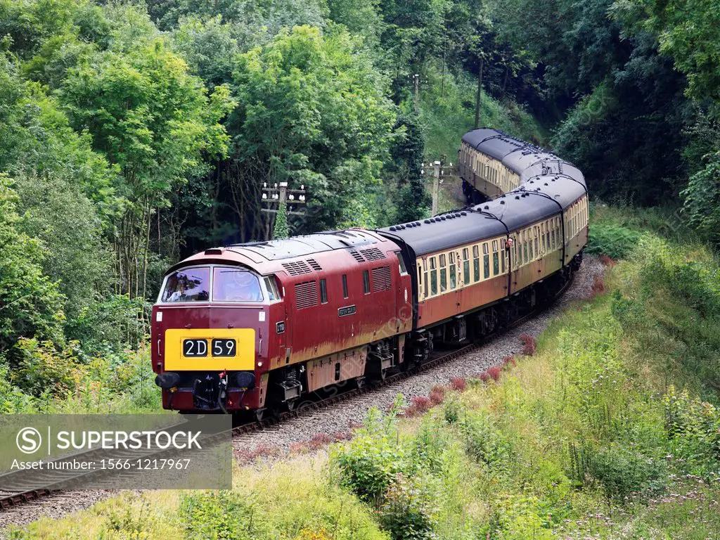 D1062 Class 52 ´Western Courier´ Diesel-Hydraulic Loco heads towards Highley Severn Valley Railway Station, Shropshire, England, Europe