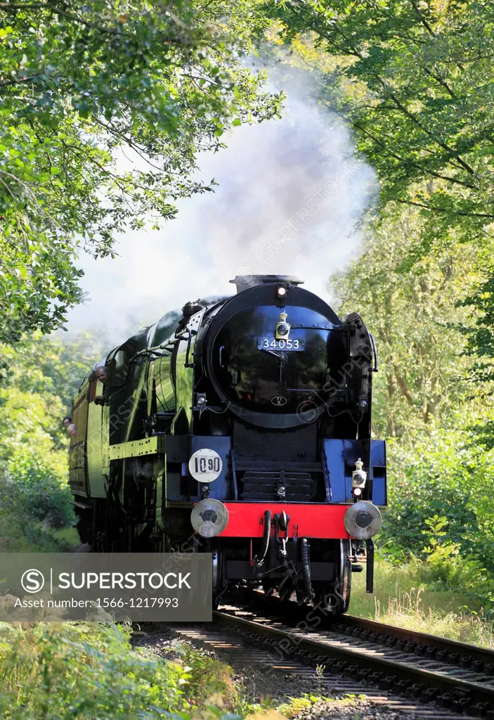 Bullied Pacific No 34053 4-6-2 ´Sir Keith Park´ thunders through Eyemore woods at Trimpley, Severn Valley Railway, Worcestershire, England, Europe