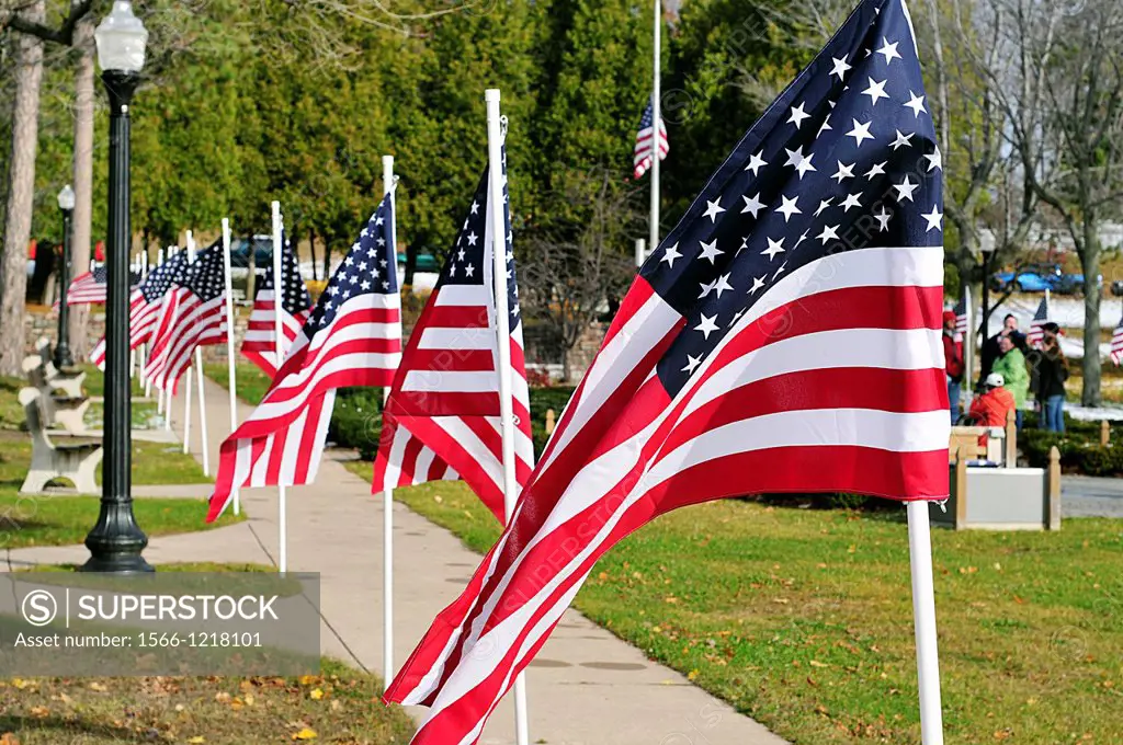A row of American flags in a war memorial park located in Marquette Michigan