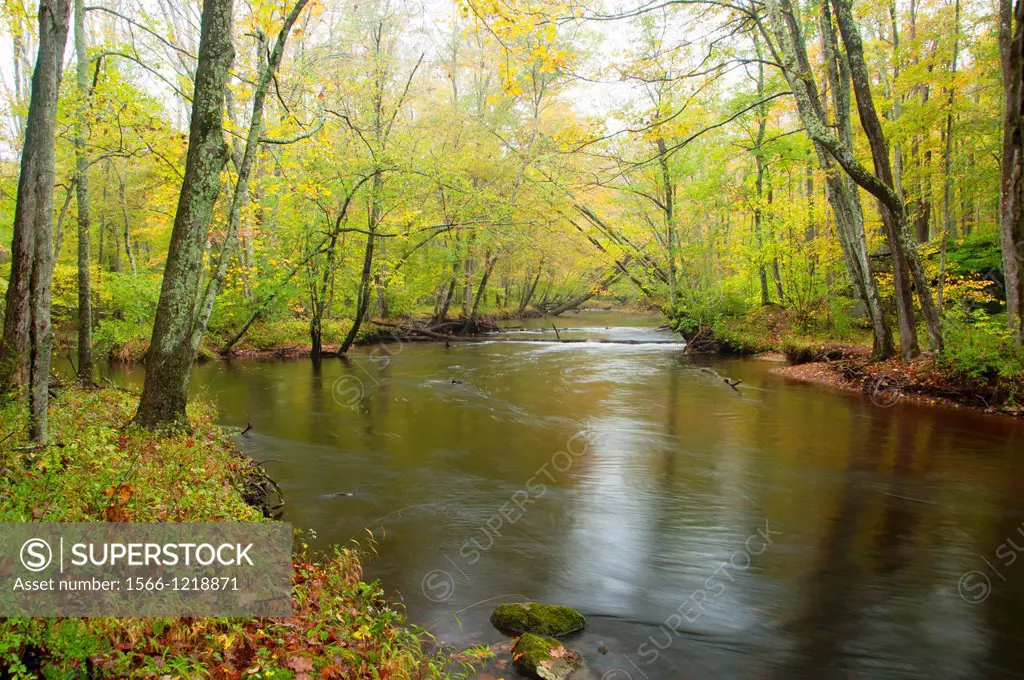 Fenton River along Nipmuck Trail, Mansfield Hollow Wildlife Area, Connecticut