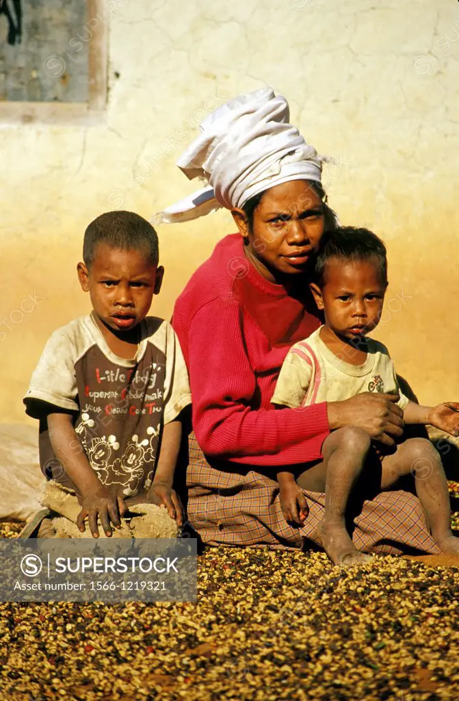 East Timorese mother and children sorting coffee beans outside their home near Maubisse