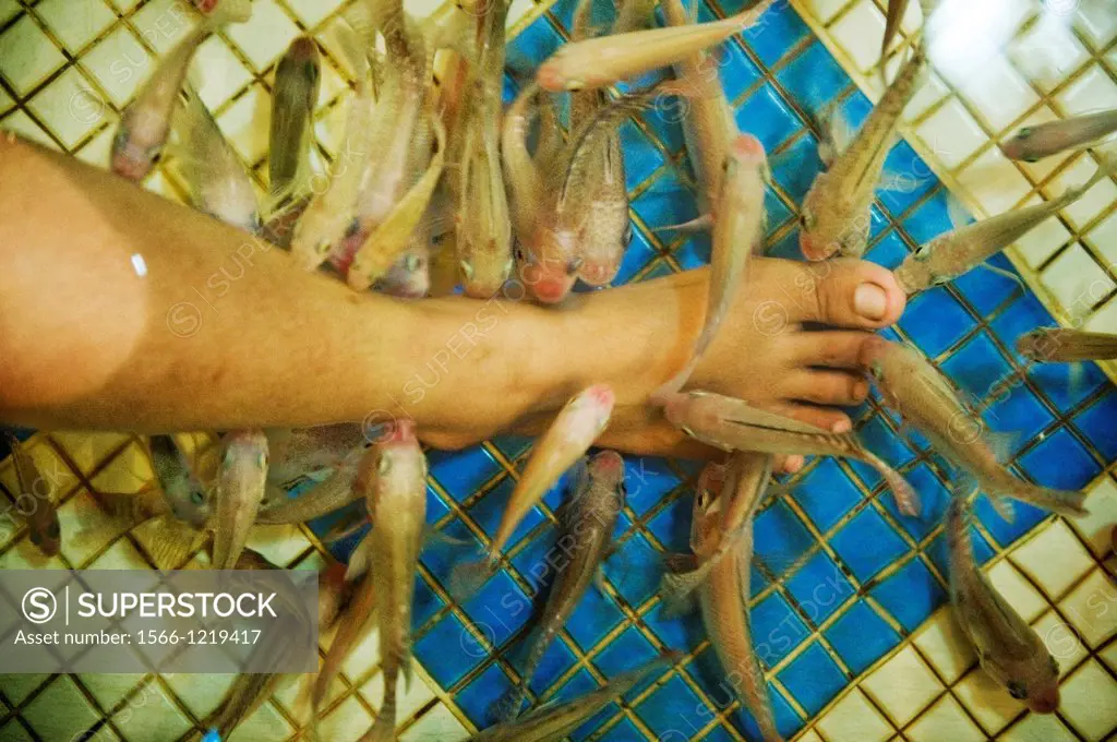 A fish pedicure, which involves garra rufa fish that nibble off dry skin