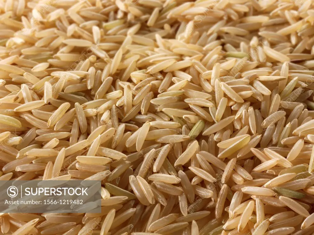 Brown Basmati Rice grains - stock food