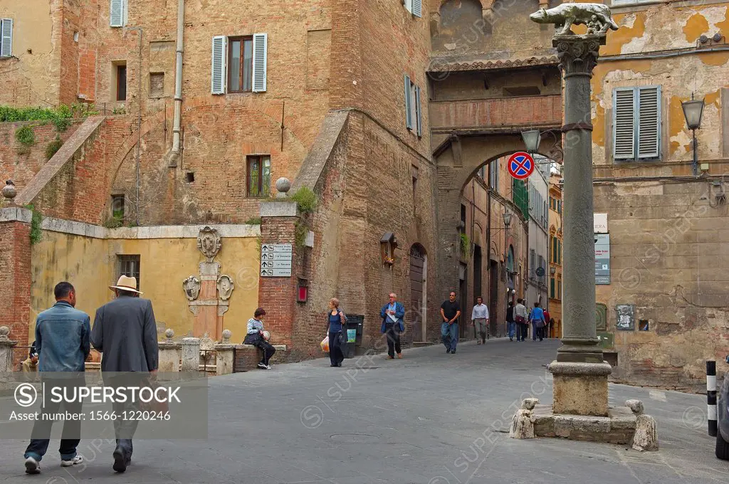 Siena, Via Pantaneto UNESCO World Heritage Site, Pantaneto street, Tuscany, Italy, Europe.