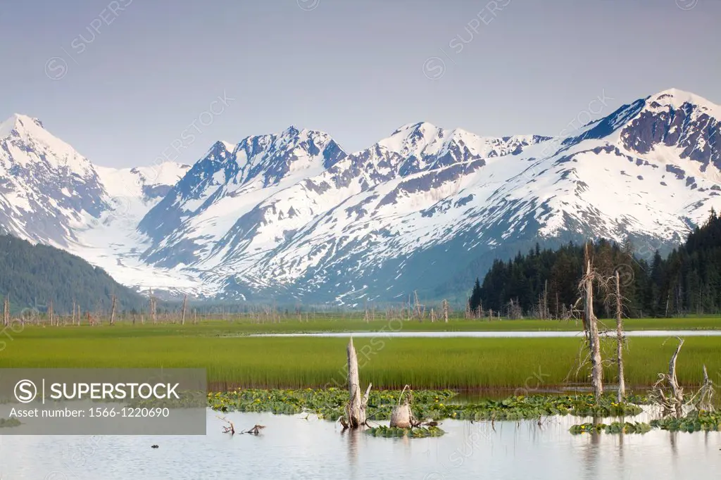 Mountains, Turnagain arm, Kenai Peninsula, Alaska, U S A