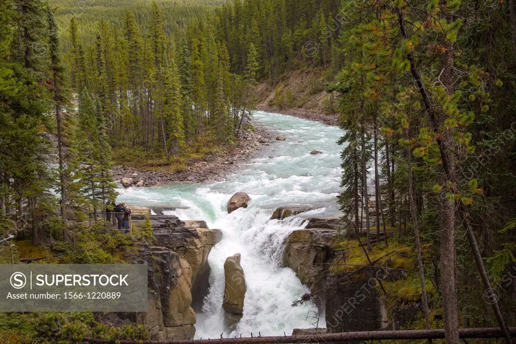 Sunwapta Falls along the Icefields Parkway in Jasper National Park in Alberta Canada in the Canadian Rockies