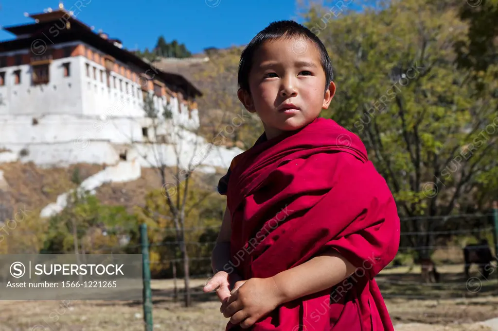 Little monk, Ta Dzong, Paro, Bhutan, Asia.