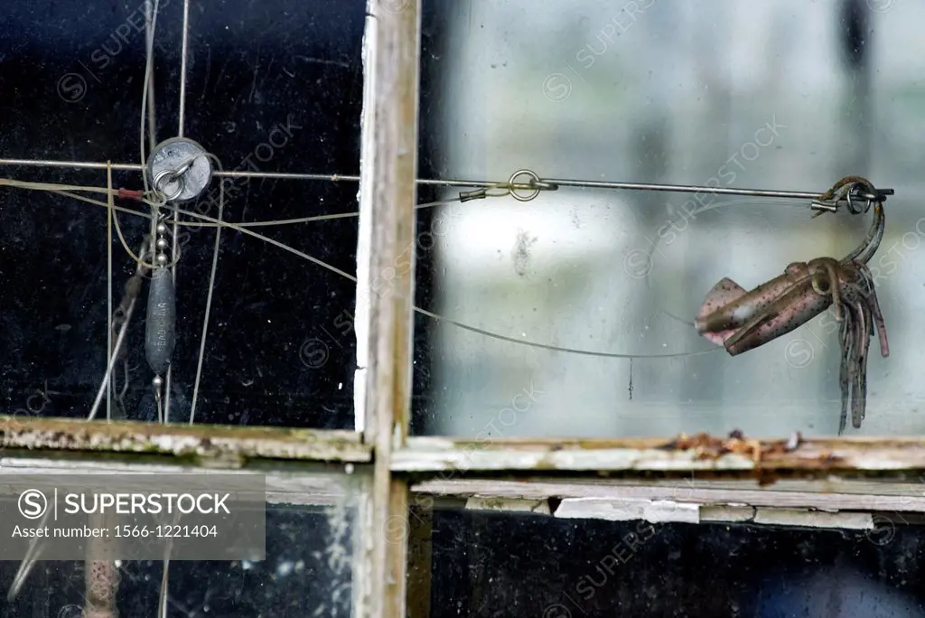 Hooks and lures in a fishing shack window, Menemsha, Chilmark, Martha´s Vineyard, Massachusetts, USA