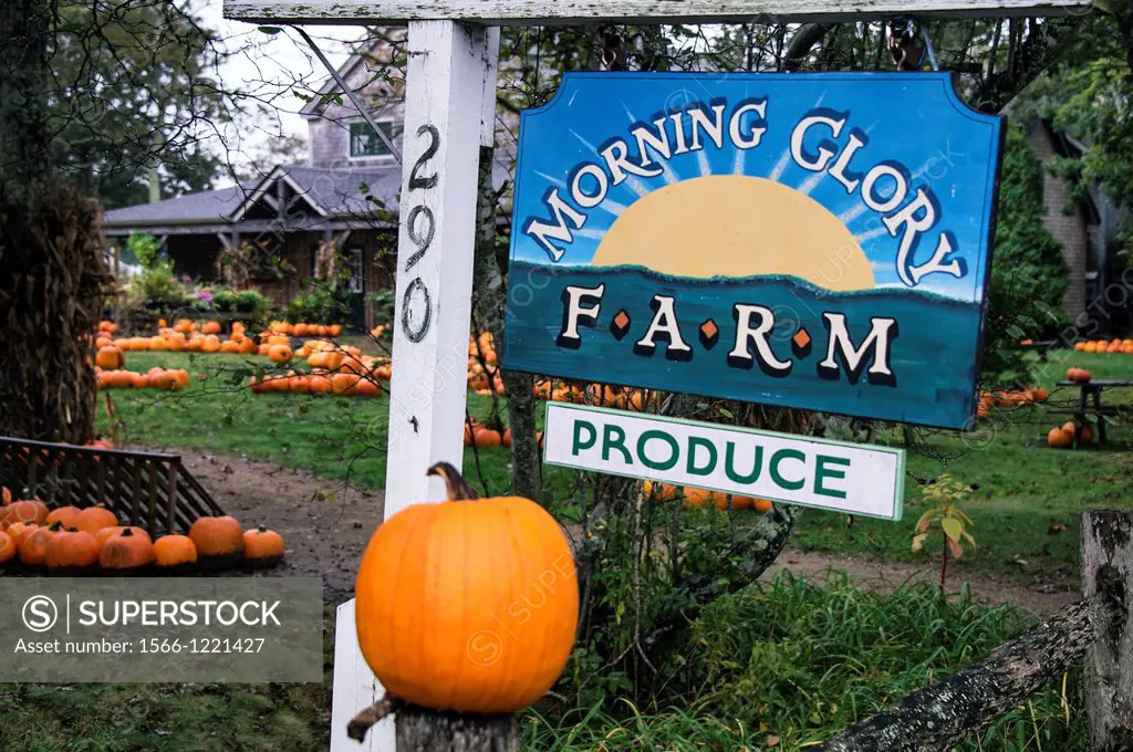 Morning Glory Farm, Martha´s Vineyard, Massachusetts, USA