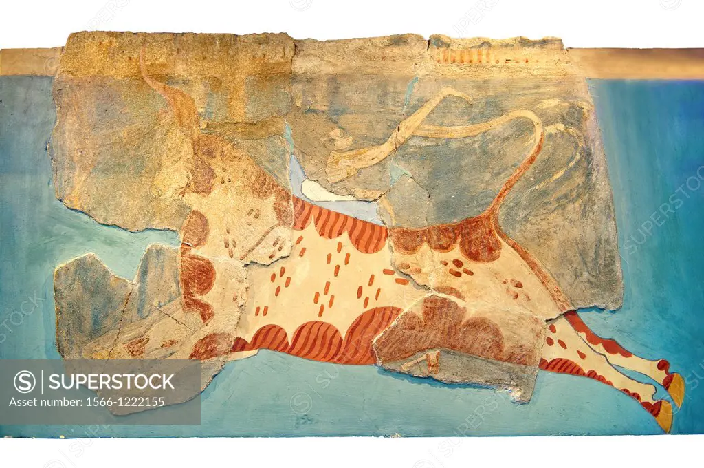 Mycenaean Fresco wall painting of a man leaping over a bull from the Tiryns, Greece  14th - 13th Century BC  Athens Archaeological Museum
