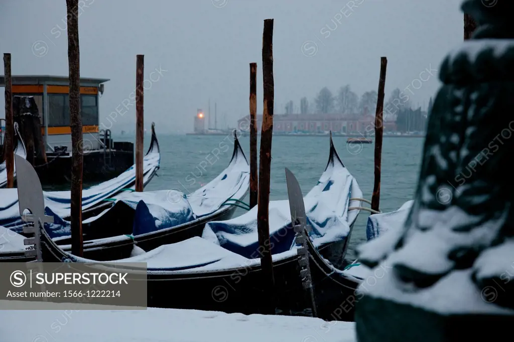 Moored gondolas covered with snow, St  Mark´s basin, Venice, Italy, Europe