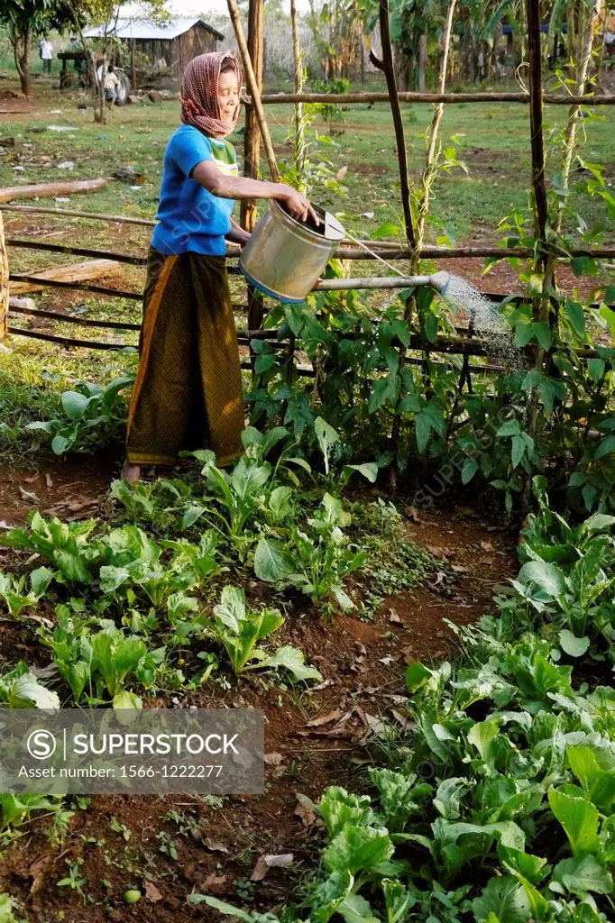 CAMBODIA photography by Sean Sprague  Projects of Caritas Cambodia, funded by SCIAF   Mrs Ngeay Saveen 50, widow with three children  Watering her gar...